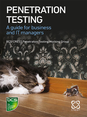 cover image of Penetration Testing